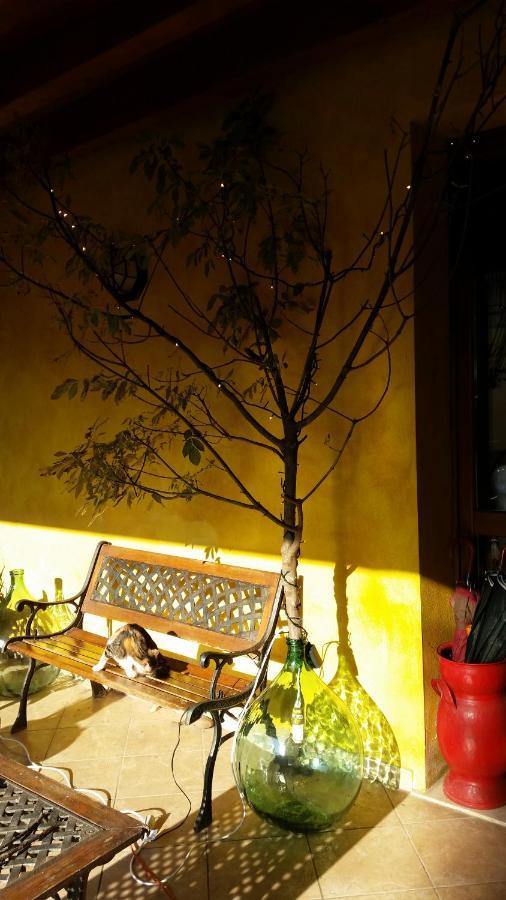 Bed and Breakfast La Cascina Di Alice Кастильоне-делле-Стивьере Экстерьер фото
