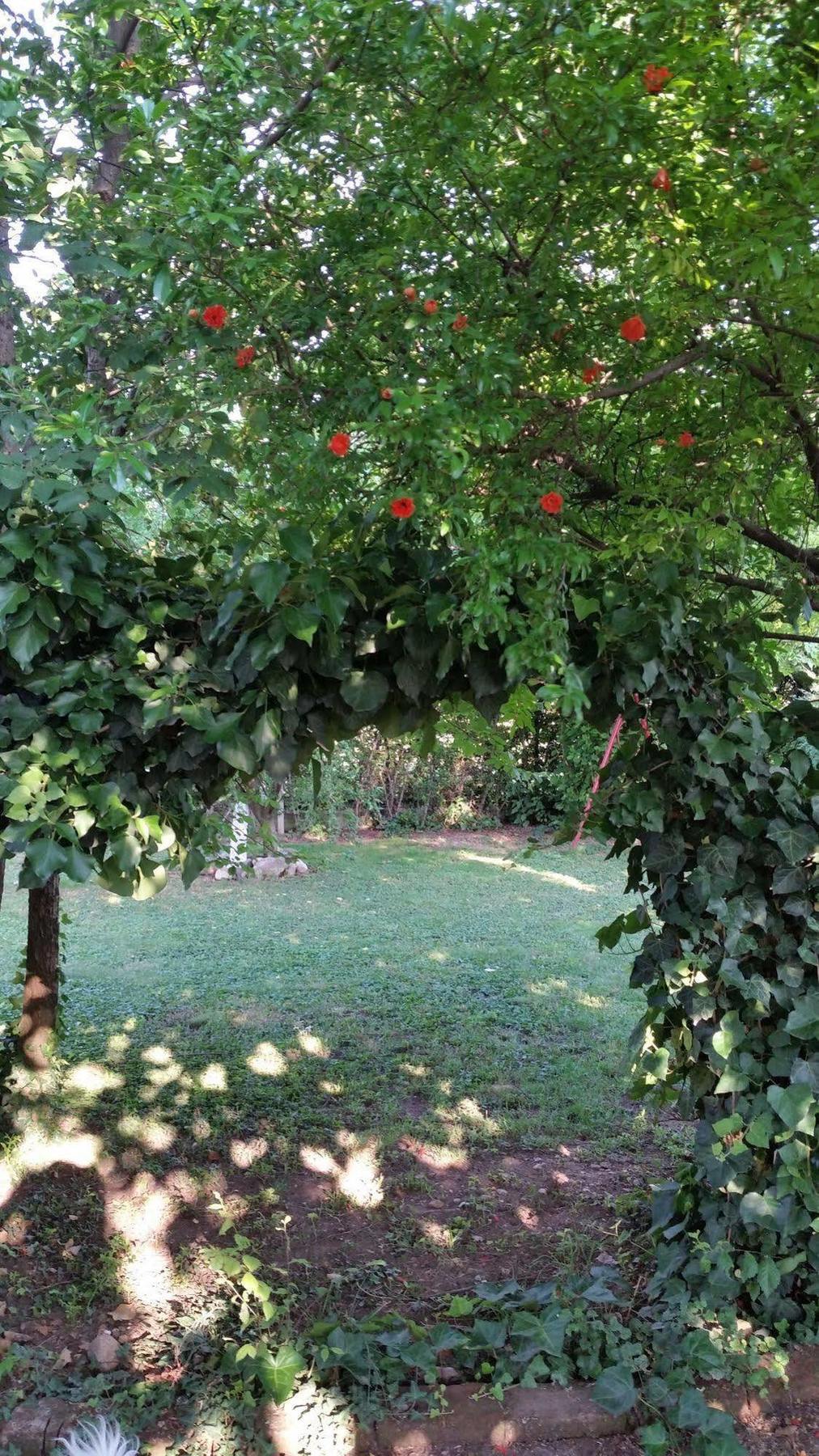 Bed and Breakfast La Cascina Di Alice Кастильоне-делле-Стивьере Экстерьер фото